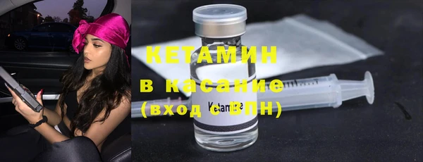 шишки Аркадак