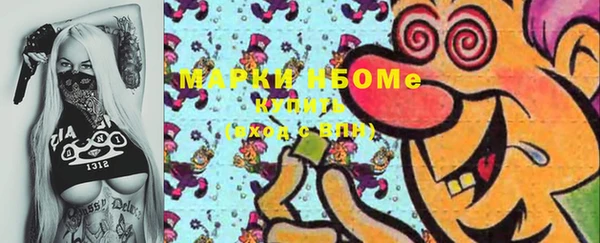 шишки Аркадак