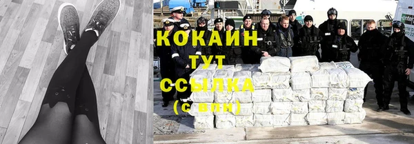 шишки Аркадак
