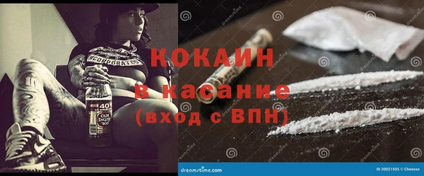 шишки Аркадак